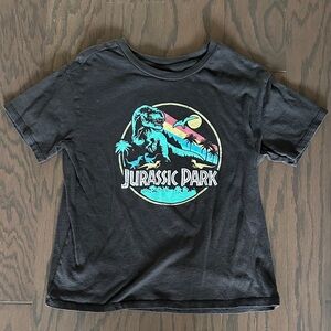 Jurassic Park Black Cozy T-Shirt